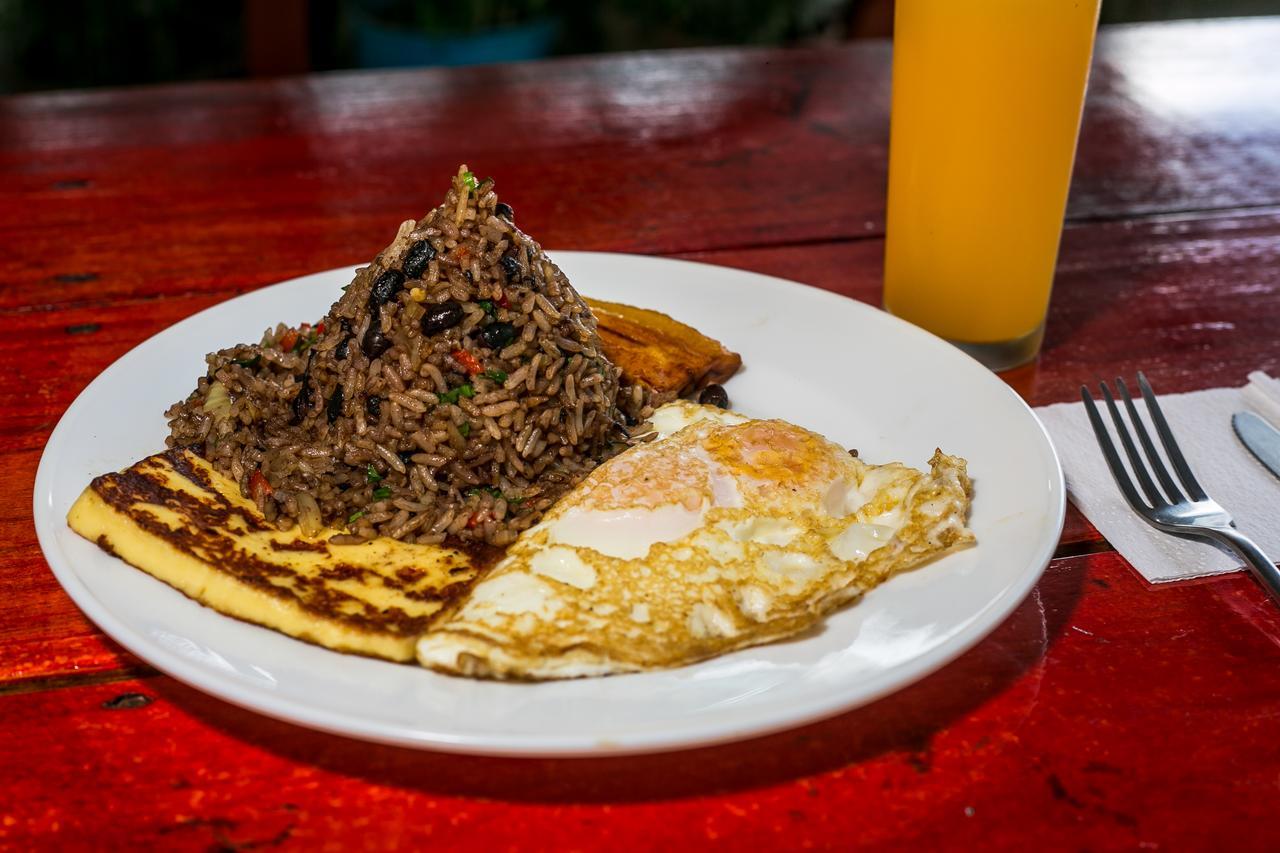 Arenal Container Hostel La Fortuna Kültér fotó