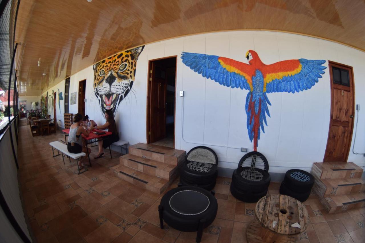 Arenal Container Hostel La Fortuna Kültér fotó