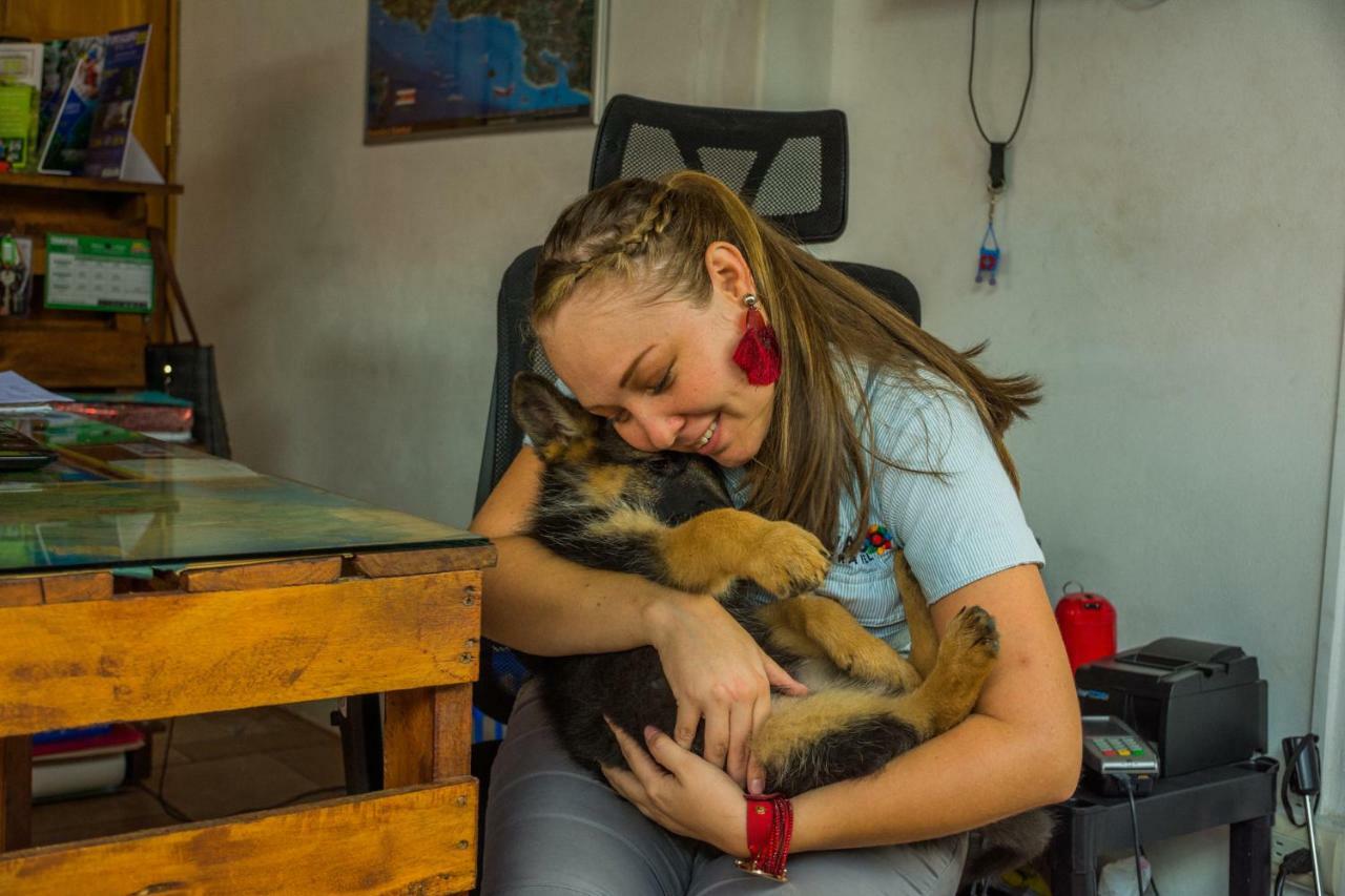 Arenal Container Hostel La Fortuna Kültér fotó