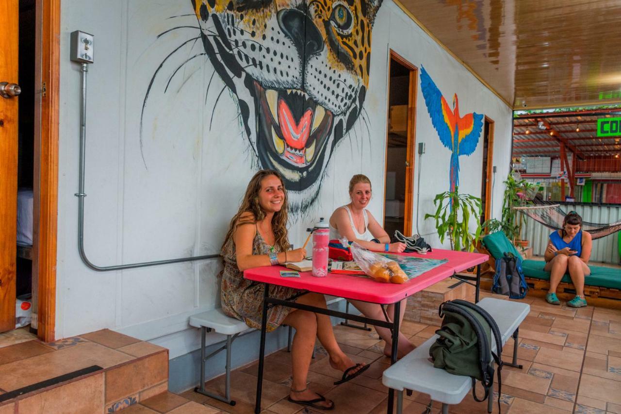 Arenal Container Hostel La Fortuna Kültér fotó